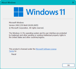 Welche Probleme bringt aktuell ein Wechsel zu Windows 11 24H2 noch mit sich?